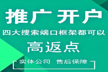 经典案例：专业SEM托管如何实现ROI最大化